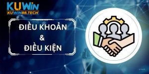 Quyền lợi của hội viên trong điều khoản điều kiện